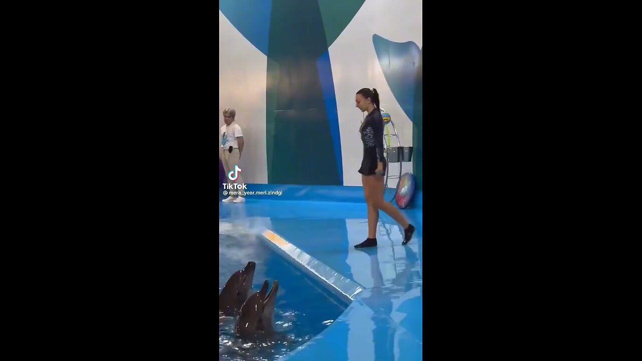 Fun