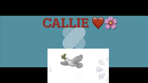 #CALLIE 07/09/25 Bug-a-Boo