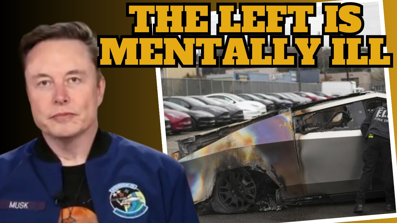 Elon Musk SLAMMED the Far Left for Violently Attacking Tesla