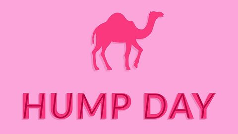 Hump Day