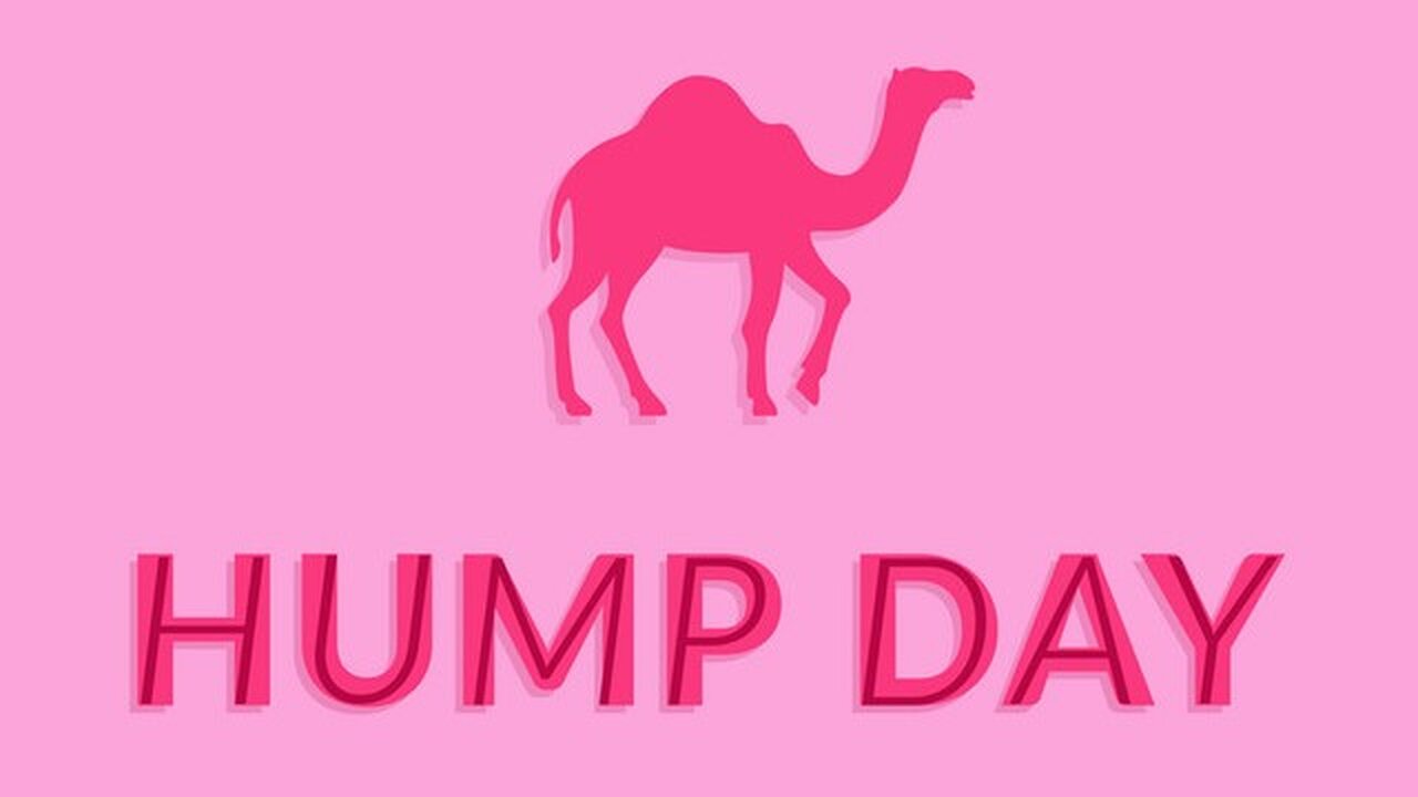 Hump Day