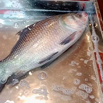 Bangladesh Fish Market