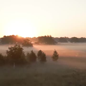 Kings in Springtime - 2 Samuel 11:1 #jesus #motivation #scripturereading