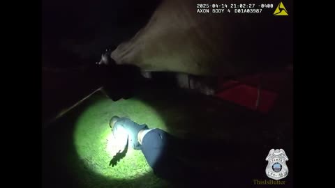 Tampa police officer suspended for kicking suspect in head during arrest