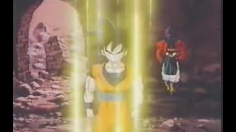 DBZ Riot