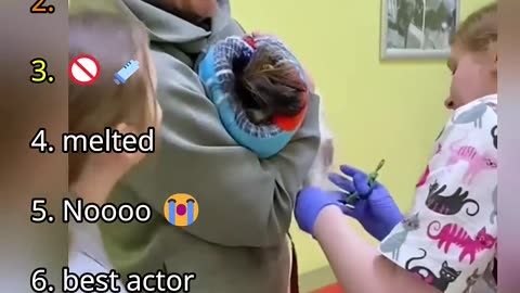 🐕🐕🐕🐕