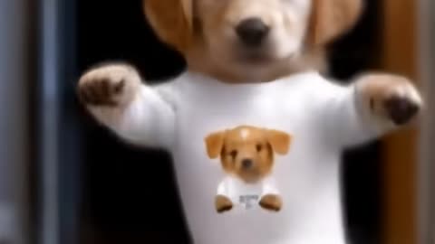 Dog Dance Motorcycle