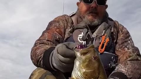 Big Smallmouth on Thomas Custom Painted Lures, Skywalker Crankbait!