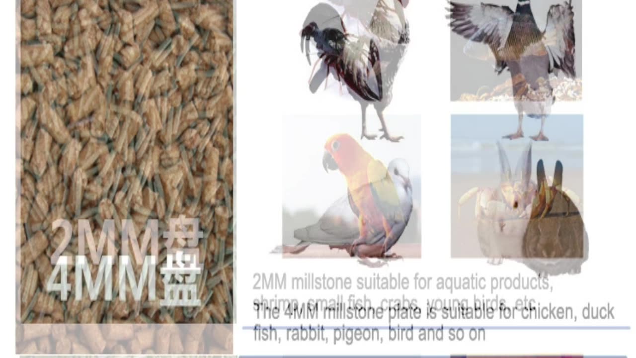 Behind the Scenes: How High-Quality Feed Pellets Are Made!