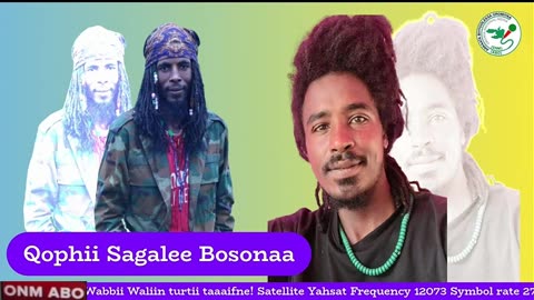 Qophii Sagalee Bosonaa ONM-ABO Onkoloolessa 25-2025 itti dhiyaadhaa!