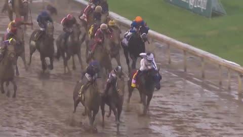 Sovereignty has won the Kentucky Derby over Journalism.