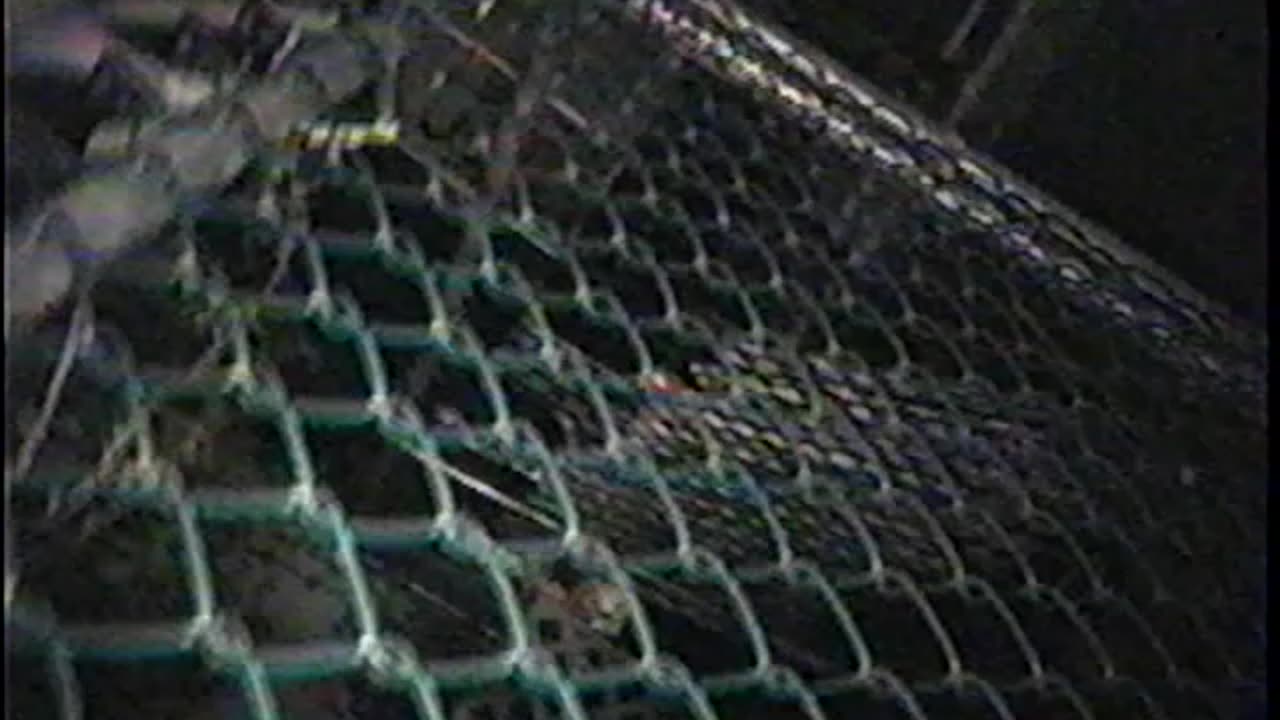 2000-NJ-Moving-3