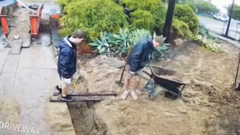 Best Funny Moments - CuteWorld #funnyvideo