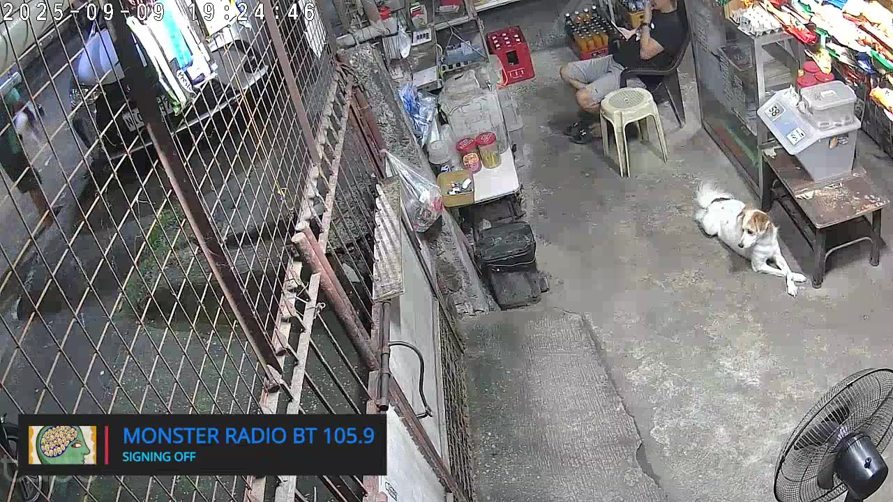 Mitsubishi Xpander 2019 Live