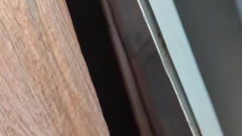 Leak_Outside Pane ls In Tact