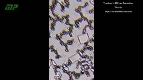 ペンタバレンテEasyfive-TTワクチン、乾燥滴から13日後：ナノテクノロジー。