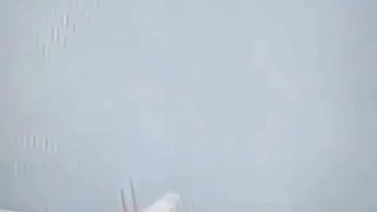 Airliner with Over 250 People Crashes in India