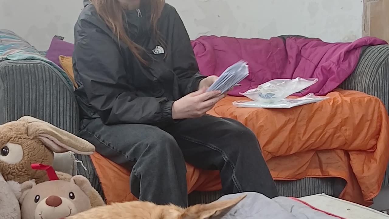 Sunflower. Smile pprooject