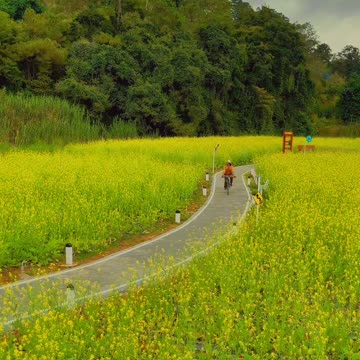 Surreal beauty in Vietnam (Part 9)