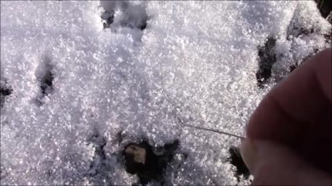 Snowballs Chemtrail Little Balls of Styrofoam Spongy Stuff 2-4-19