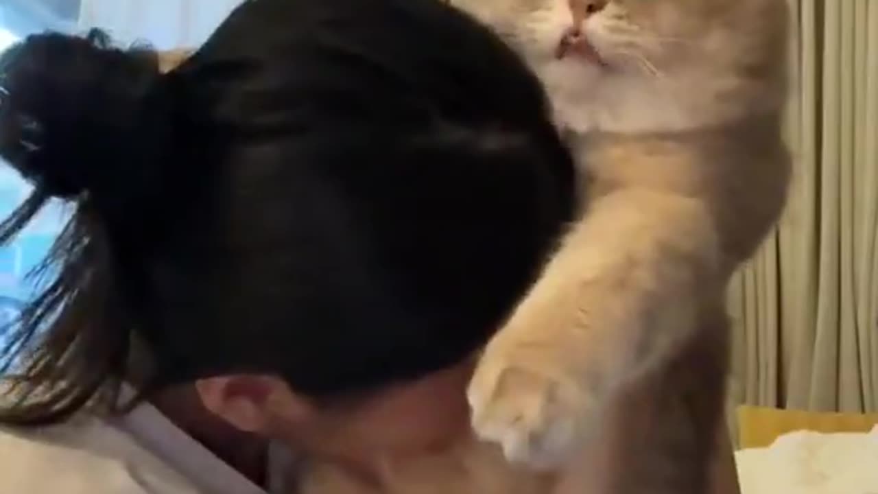 CUTENESS AGGRESSION!!