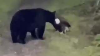 Woe Day 105. I am in the ark. Waiting for GOD to open the Door for a spring/summer Pentecost rapture