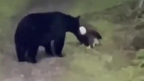 Woe Day 105. I am in the ark. Waiting for GOD to open the Door for a spring/summer Pentecost rapture