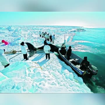 Plastics Treaty Betrays Indigenous & Frontline Communities | Geneva INC-5.2 Exposed