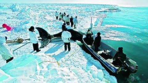 Plastics Treaty Betrays Indigenous & Frontline Communities | Geneva INC-5.2 Exposed