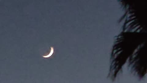 Twilights Crescent 🌙