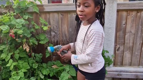 Watering some of the plants in the garden together. How do you think it's looking?
