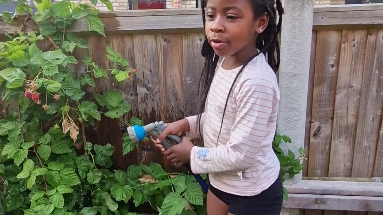 Watering some of the plants in the garden together. How do you think it's looking?