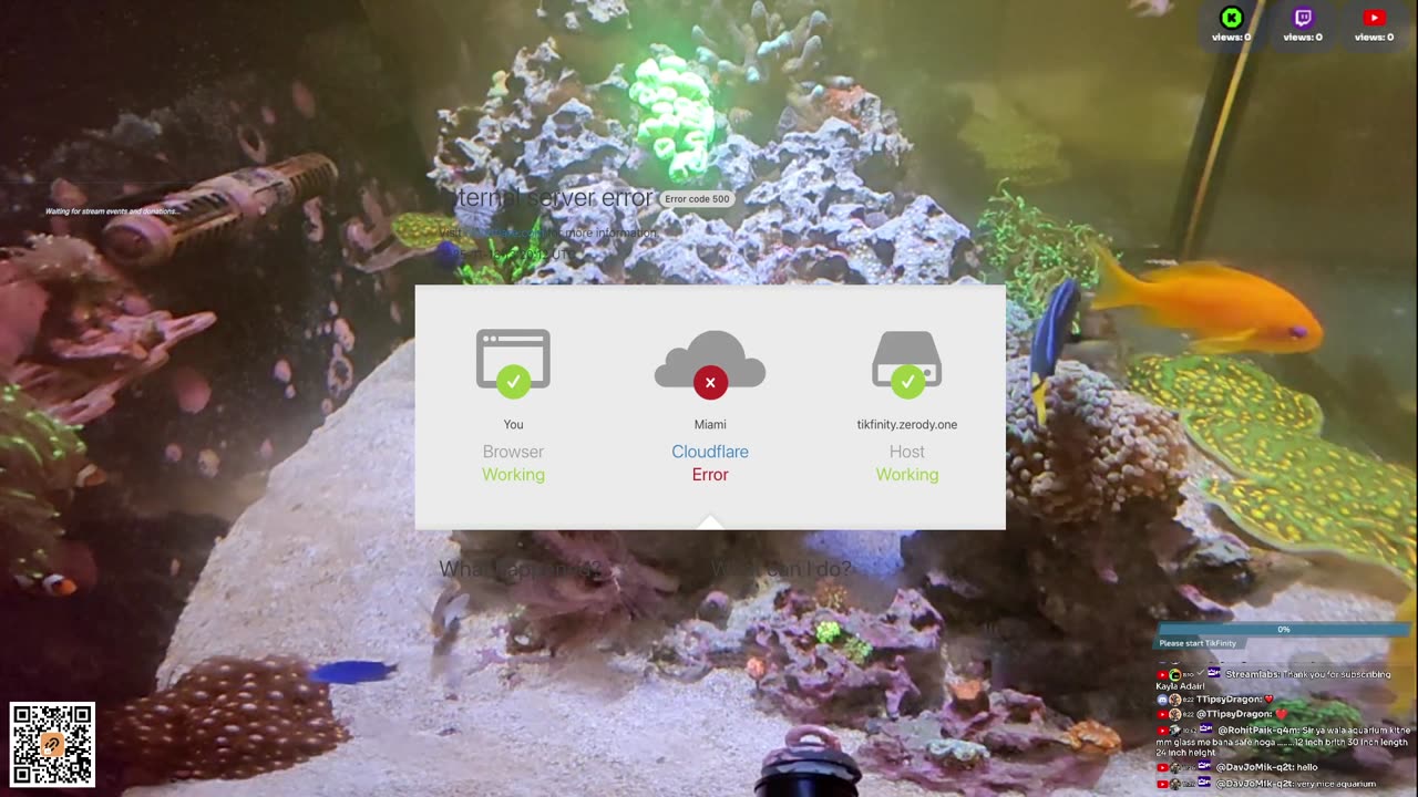 24/7 Real Live Reef Stream