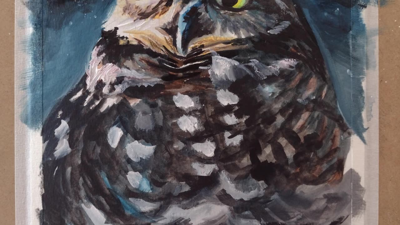 Night Owl Short