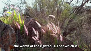 Deuteronomy Chapter 16