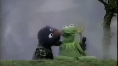 Sesame Street - Fire in the Woods