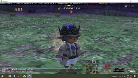 Playing Final Fantasy XI Online