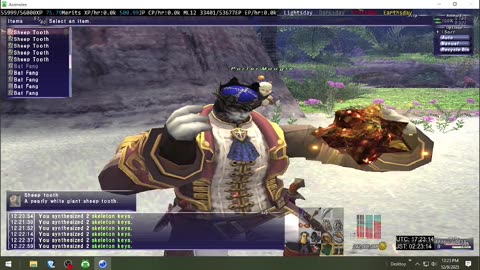 Playing Final Fantasy XI Online