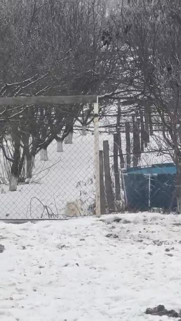 You're gonna need a taller fence. Anatolian Shepherd FTW