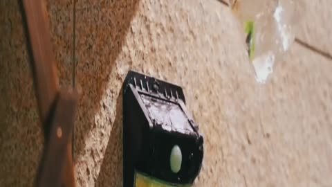 Say Goodbye to Mosquitoes! This Solar Lamp Is a Game Changer! 🤯
