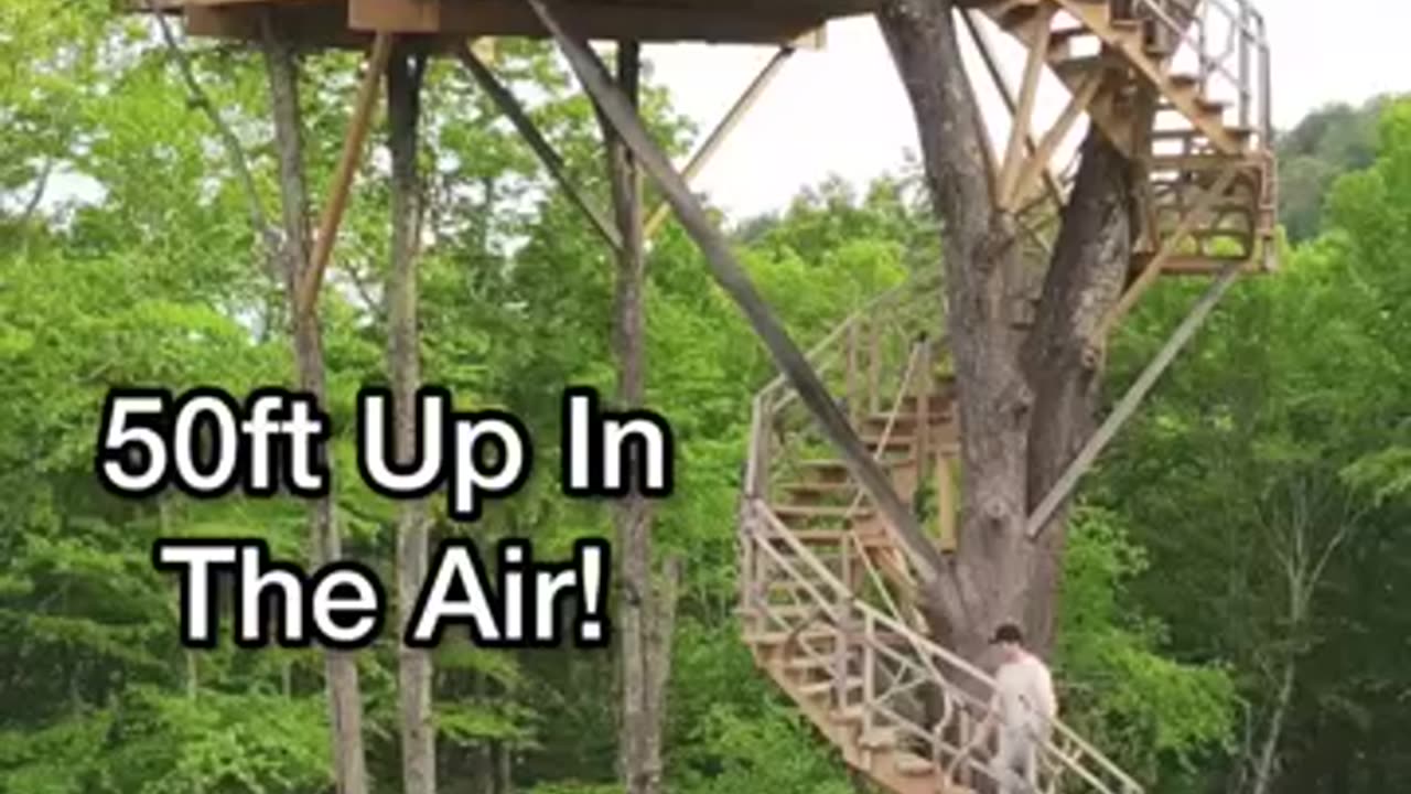 Amazing Tiny Home Treehouse Airbnb 50ft Up In The Air!