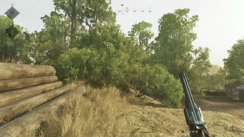 Huntshowdown 1896: This glitch has been around for a long time.