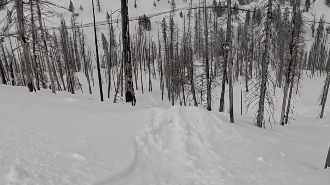 February Splitboard: Lap 2