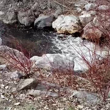 McDougall Creek In West Kelowna BC 🇨🇦 March 22 2025