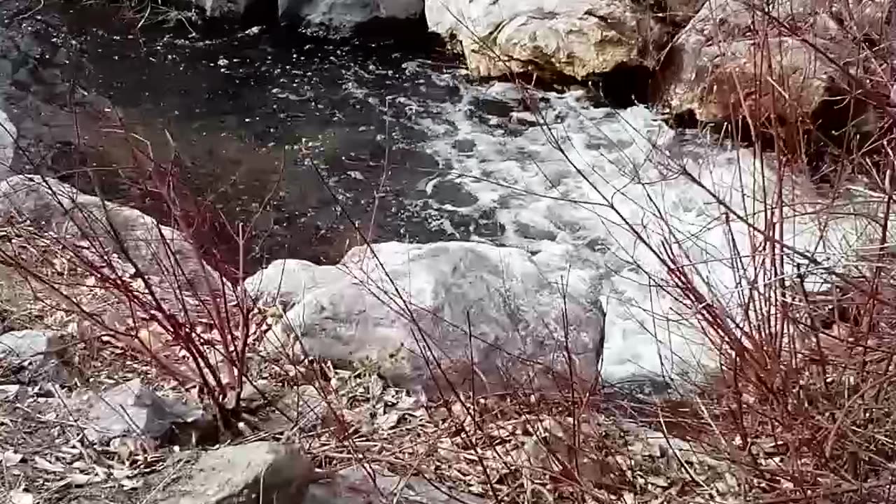 McDougall Creek In West Kelowna BC 🇨🇦 March 22 2025