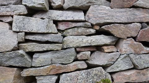 Communist Manifesto - Karl Marx Song 1848