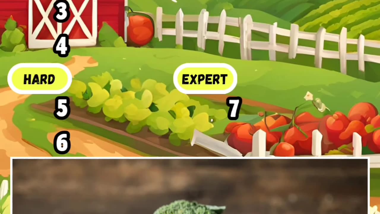 Can you guess vegetable quiz i bet you didn't know all test your knowledge