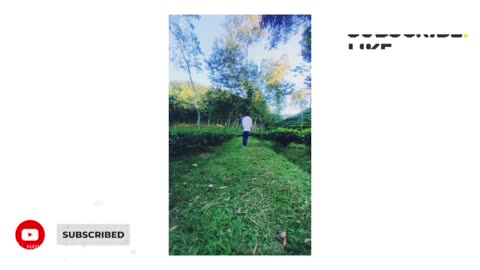 Convert Photo to Video Using AI