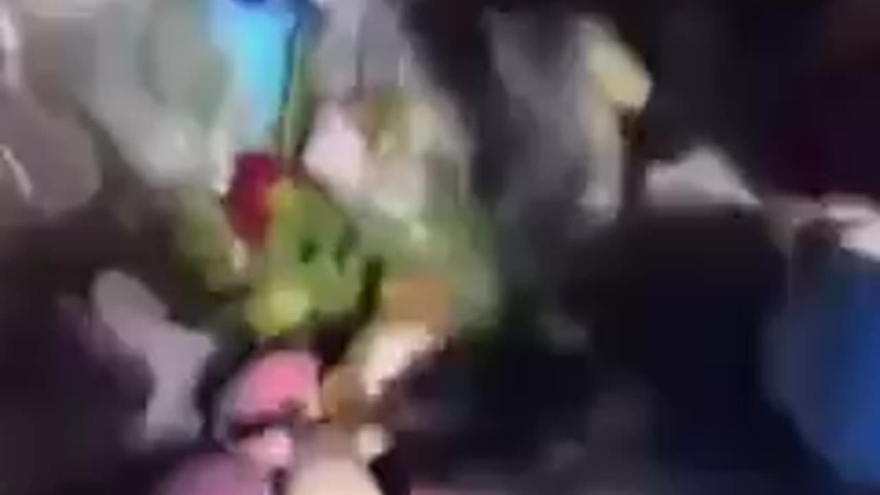 shitskin migrants steal toys from memorial of 2 dead children in Netherlands