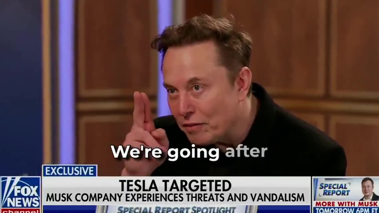 Musk Says Trump Will Go After The Criminals Attacking Tesla